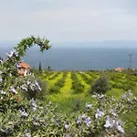 With Spectacular View Villa
