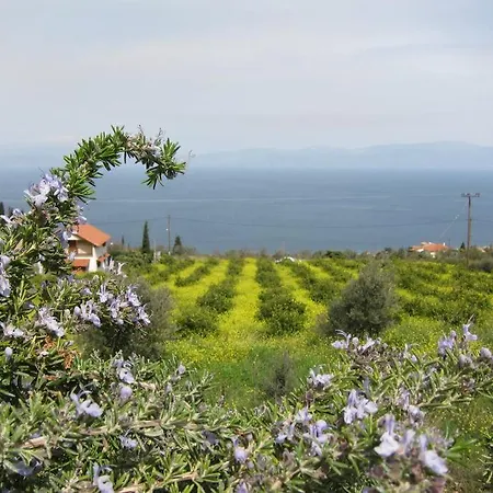 With Spectacular View Vila
